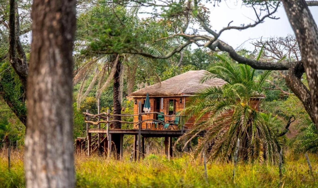 Mansa Musso Lodge Sanyang Екстериор снимка